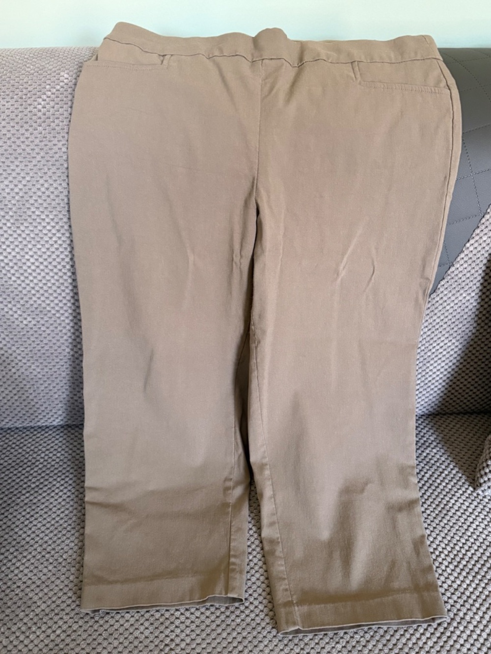 Capris - Picture 3 of 3
